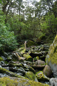 Rob Roy Glacier Track